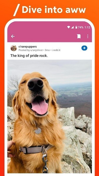 Reddit׿appͼ