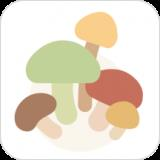 树洞菌app最新版