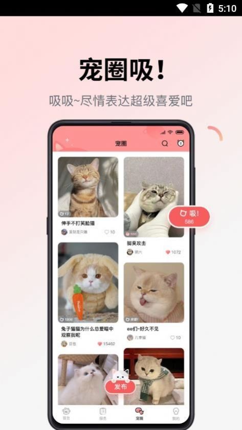 多仔宠物安卓版