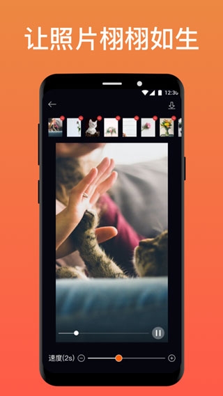 pixaloop软件免费版下载