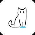 猫影视官方最新版下载