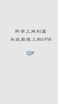 白鲸加速器app安卓版
