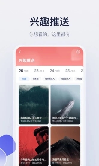 创作猫免费 下载