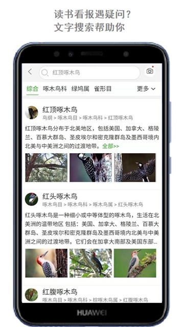 万物识别扫一扫免费软件下载安卓版