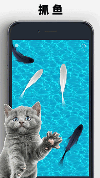 猫狗玩具模拟器下载中文版
