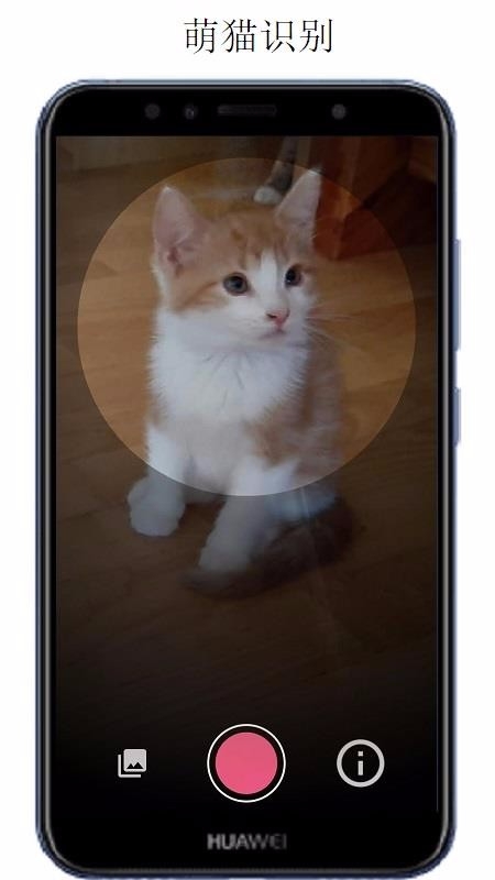 万物识别app下载
