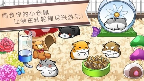 仓鼠的日常游戏下载