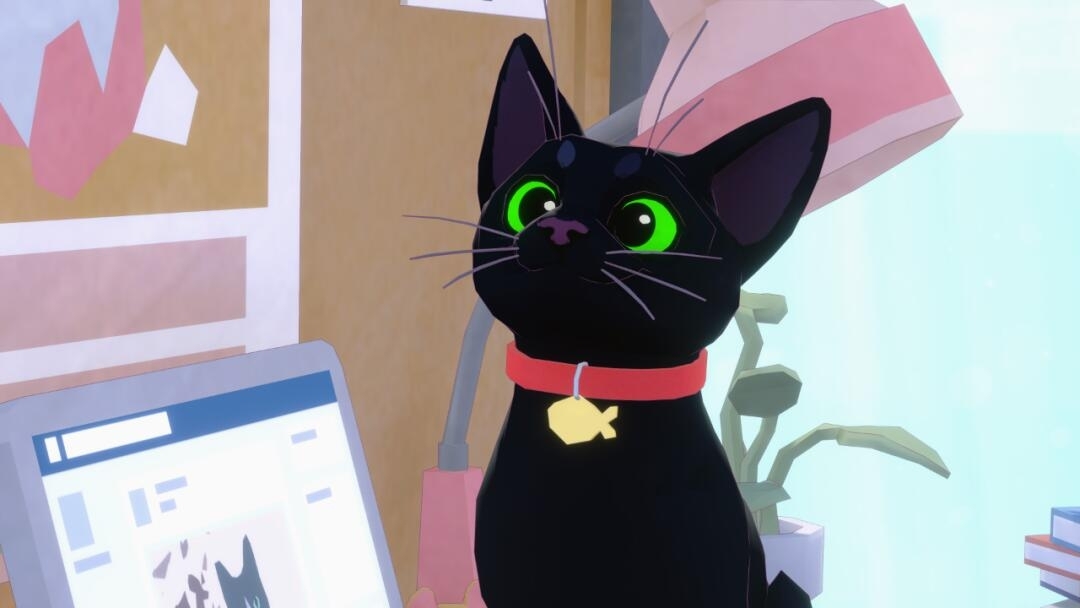 小猫咪大城市正版游戏