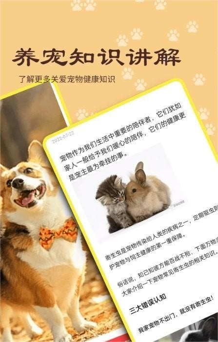 宠本本官方下载