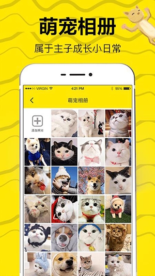猫狗翻译软件免费