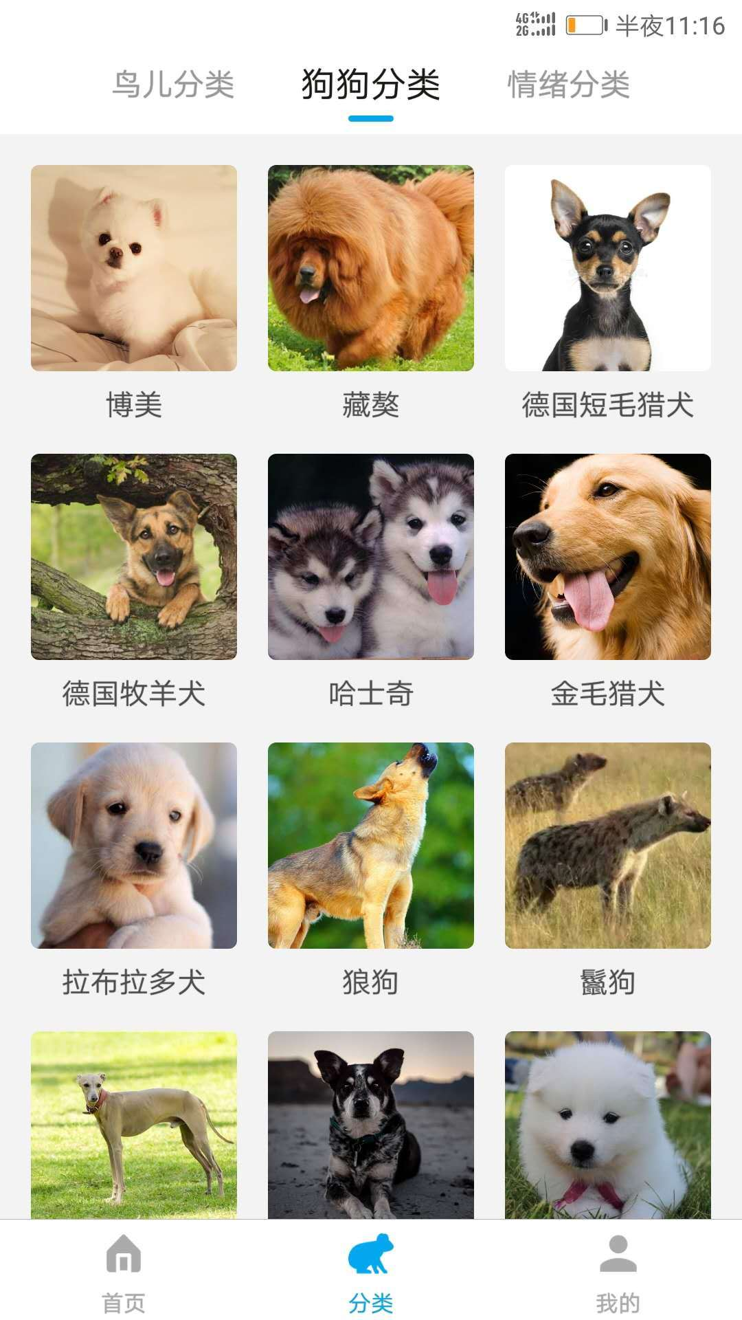 宠物翻译器免费下载安装