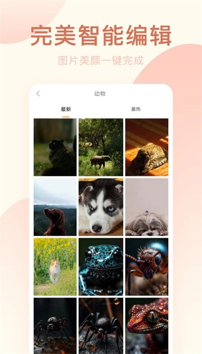 趣相机app下载