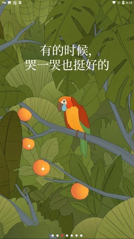 孤独的鸟儿正版下载安装
