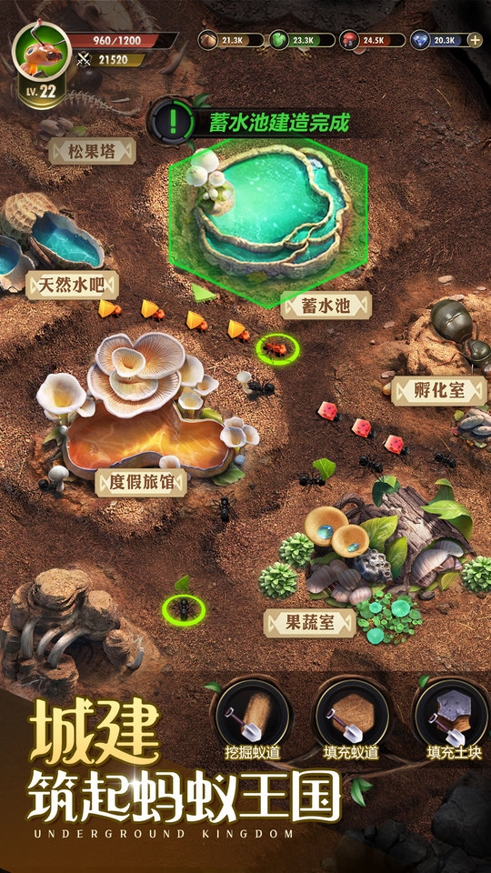 小小蚁国官网下载安装