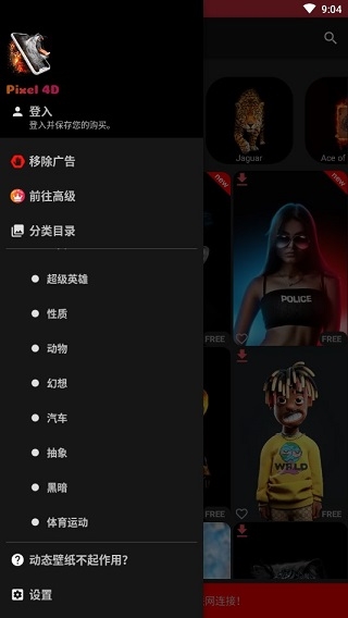 Pixel 4D壁纸app