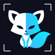 face换脸秀V1.1.0