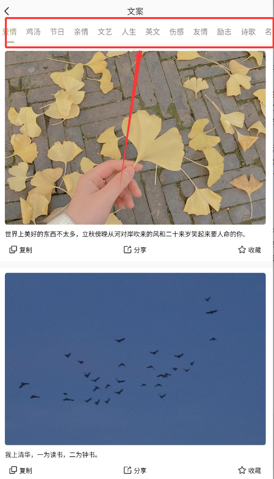 素记app下载